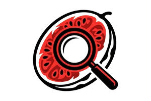 best365体育app - 吃瓜社Logo